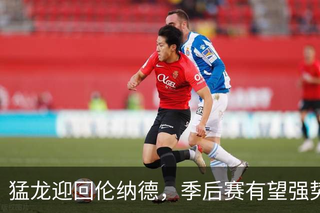 猛龙迎回伦纳德，季后赛有望强势冲击前四